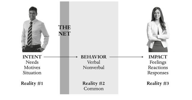 Visual representation of the feedback tennis court introduced by Carole Robin